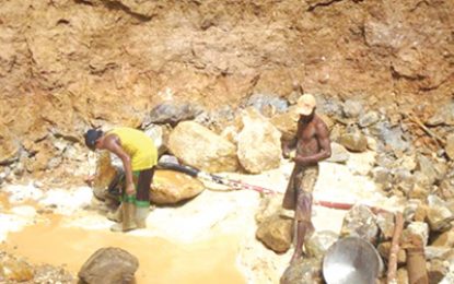 Pollution caused by mining will not be tolerated