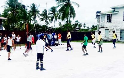 Berbice Volleyball Association holds successful one day extravaganza for schools