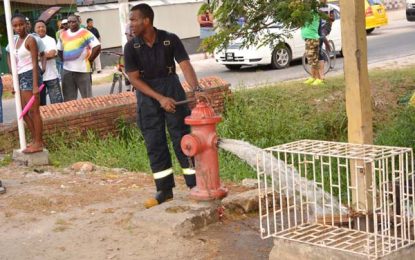 Half of city’s 800 fire hydrants rehabilitated