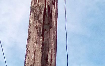 GPL ignores pleas to replace rotting pole