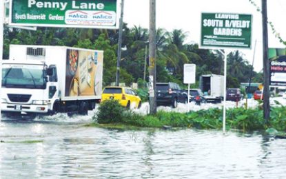 South Ruimveldt residents tackling flooding head on