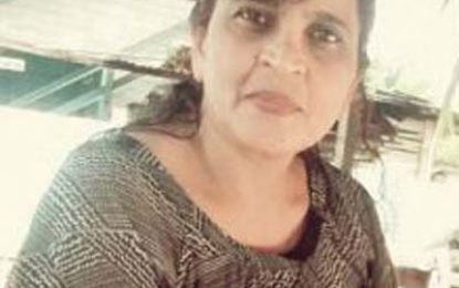Female “mastermind” in Tain execution again refused bail