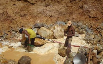 Trotman mulls opening of new mining lands in Rupununi