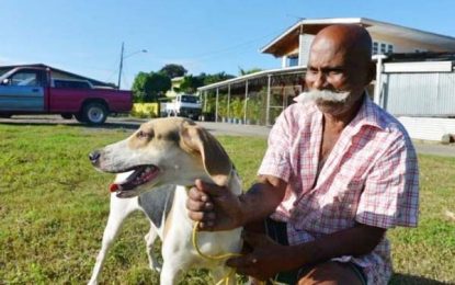 Stolen hunting dogs turning up in Guyana