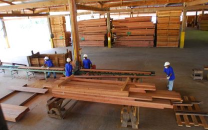 Loggers “reject” VAT on lumber; appeals for restoration of concessions