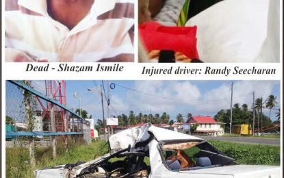 Port Mourant man, two others injured in Borlam Turn accident