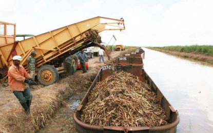 Sugar’s future to be considered by National Assembly