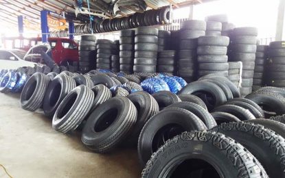 PPP urges reversal of used tyre, older vehicle restrictions