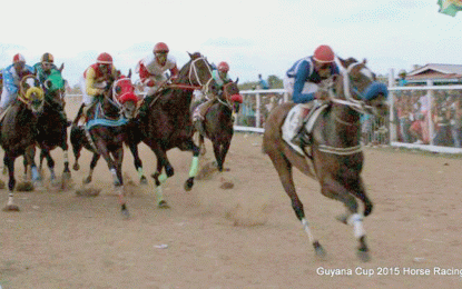Number of feature clashes expected at Guyana Cup Fever horserace event April 16