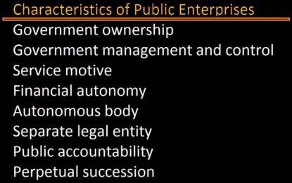 Public enterprises: working for and against the economy