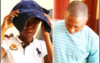Mother ditches coke, children remanded