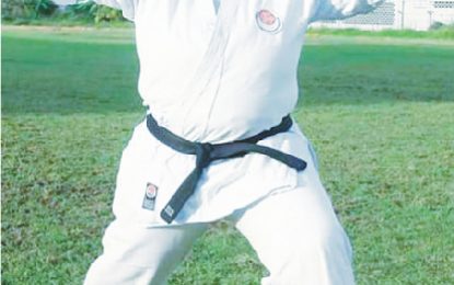 Karate Sensei Lavern  Jones has died