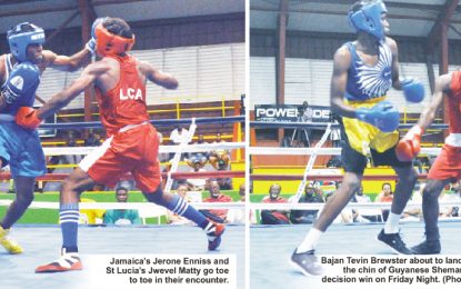 2nd edition of the Caribbean Schoolboys and Junior Boxing Tournament…