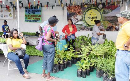 First of its kind farmers’ market gets positive response