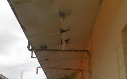 Wismar Hospital termite-infested, lacks essential drugs, security lighting