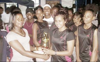 Felix Austin Police College holds Volleyball Extravaganza and fun day
