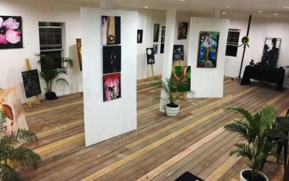 Vincentian artist mounts exhibition in Georgetown