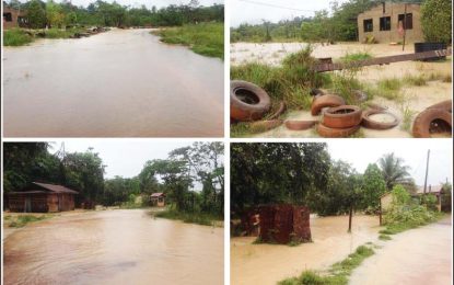 Govt., CDC monitoring flooding in Mahdia