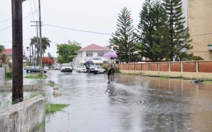 Heavy, continuous rainfall expected