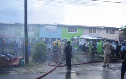 Nine counting losses as fire destroys Trench Road homes