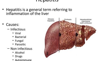 Countries of the Americas take action to eliminate hepatitis