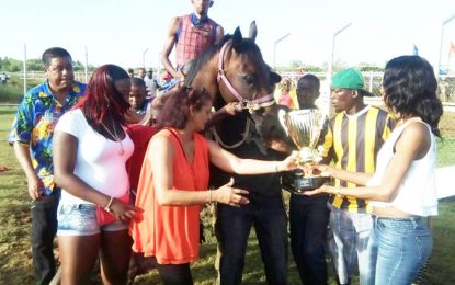 Brave Sky takes feature at Four Horsemen Emancipation Top Brandz meet