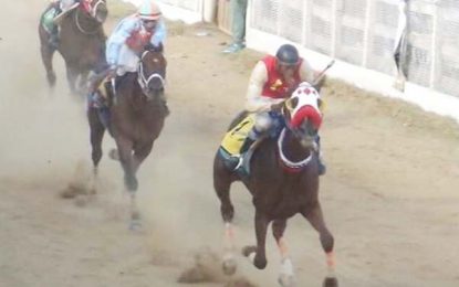 Vera’s Finally headline Guyana Cup horserace Meet with win in feature