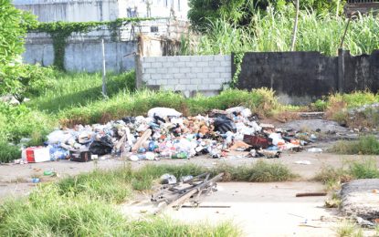 City Hall grapples with mounting garbage crisis