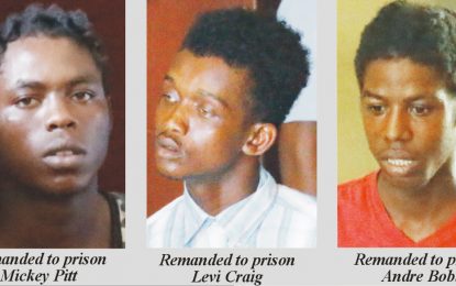 Trio remanded on robbery charges