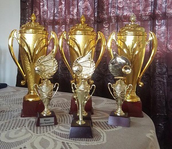 https://www.kaieteurnewsonline.com/images/2017/09/Some-of-the-trophies-on-offer-in-todays-Volleyball-action..jpg