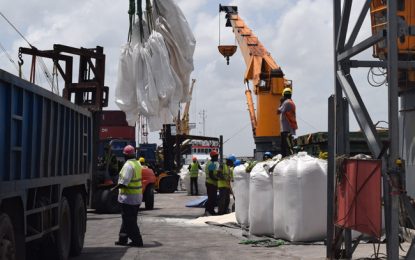 First rice shipment to Cuba in 40 years