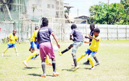 EBFA / Ralph Green U-11 League…Mocha draw Grove; Herstelling beat Diamond United