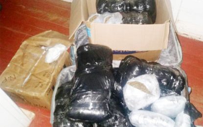 Lethem driver nabbed with ganja at checkpoint