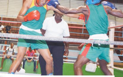 National U-16 and Open Boxing C/ships  set to excite boxing fans this November