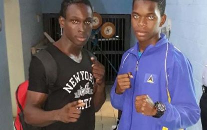 Caribbean Boxing Championships in St Lucia…Guyanese boxers though to finals with emphatic performances