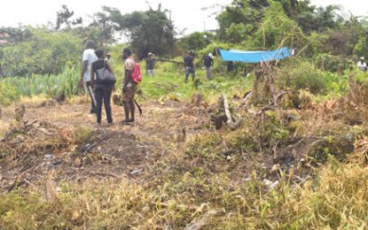 Aggressive squatters invade businessman’s lands