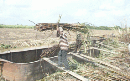 Sugar workers attached to NDIA to also lose their jobs – GAWU