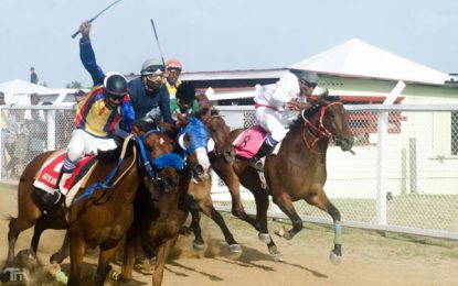 Jumbo Jet Thoroughbred Committee brings to Guyana its first “Triple Crown” C/ships