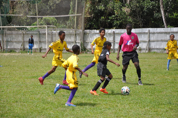 Final Gaico Grand Prix likely to see play from top local players - Stabroek  News