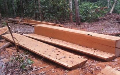 Forestry Commission sees less revenue in 2017