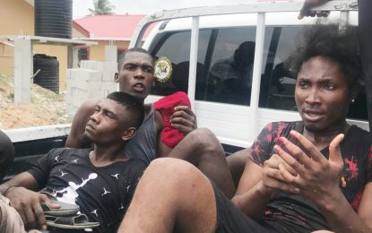 Three captured after cutlass robbery on horse cart vendor