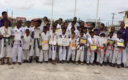 Guyana Mixed Martial Arts Karate Association host successful examination