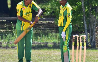 GSCL Inc./ Ink Plus, Crown Mining Enterprise, Elegance Jewellery Softball Competitions… Enforcers trounce Aditya XI in opener as action shifts to Albion today