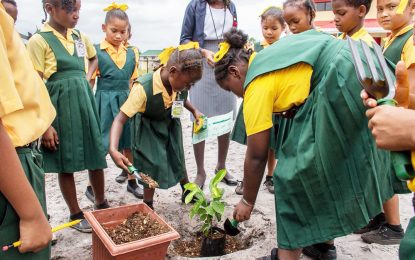 Green initiative for schools gathering steam