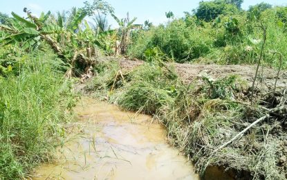 Gov’t project clashes with private farm lands in E’bo