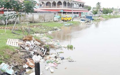 City Hall to reboot anti-littering campaign