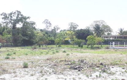 GWI goes after illegal structures on city’s water supply reserves