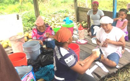 Pomeroon women capitalise on economic prospects of coconut-based products