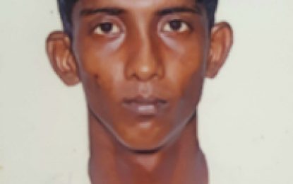 Father, son remanded for killing teenager at Mon Repos barbecue