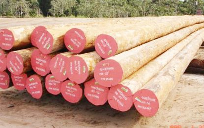 Tighter log monitoring… As Guyana readies to resume greenheart export to UK